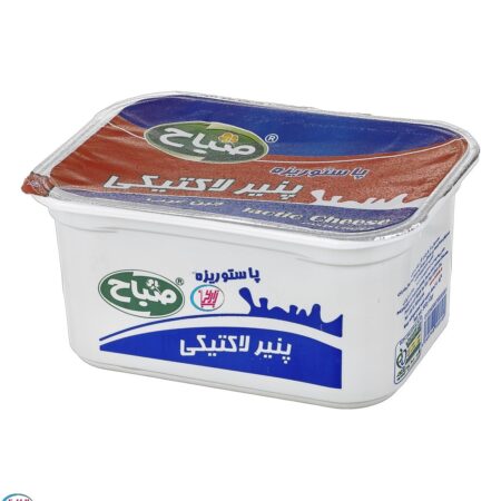 پنیر لاکتیکی صباح / 300 گرم